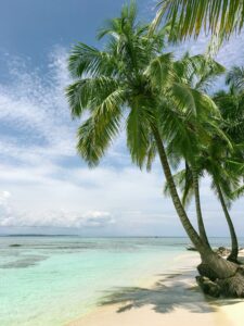 a beautiful beach to learn a lesson in goodwill