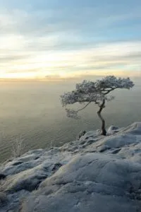 Resilience in the Face of Hardship