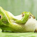The Power of Deep Relaxation