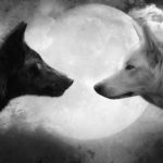 two-wolves