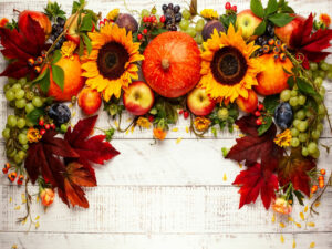 Thanksgiving holiday background