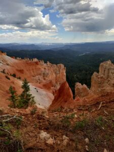 virgin river rim trail