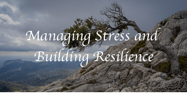 Managing Stress and Building Resilience Masterclass