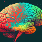 The human brain