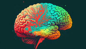 The human brain