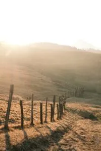 Setting Healthy Boundaries